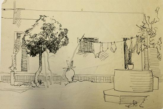 I drew the shade on the underside of the fig tree to contrast strongly.